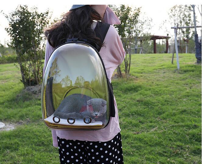 WuffWear AstroPack – Transparent Rygsæk til Hund & Kat 🚀🐾