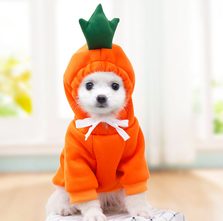 WuffWear KrammeHoodie - Frugt & Sjov Eiditon