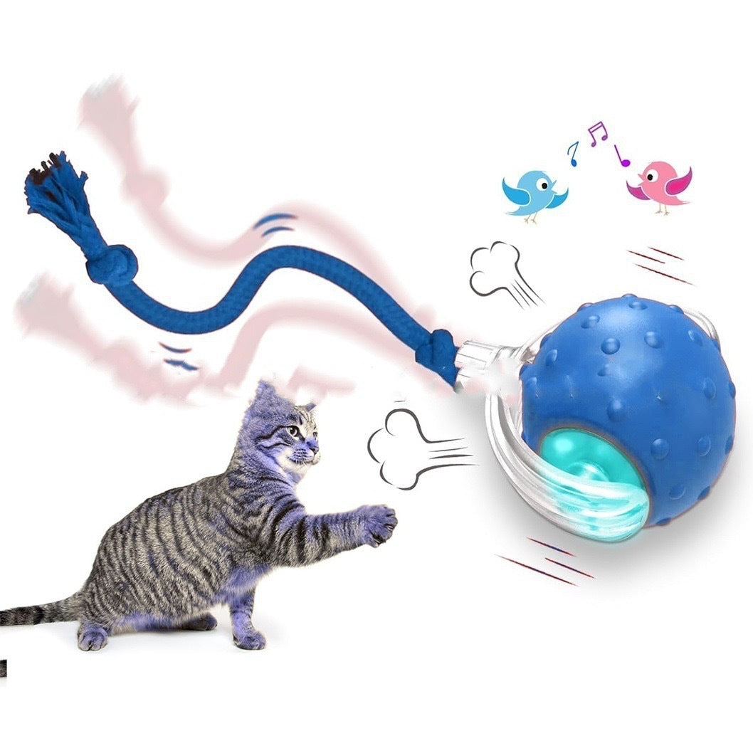 WuffWear SmartKatteBold – Interaktiv Sjov med Hale & Fuglesang 🐱⚡