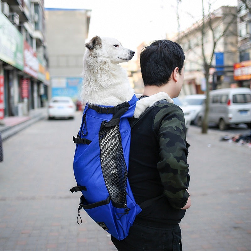 WuffWear PelsPack – Rygsæk til Hund 🎒🐾