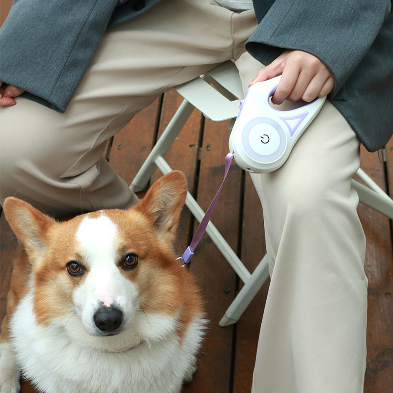 WuffWear Lysa - Reflective dog leash with light