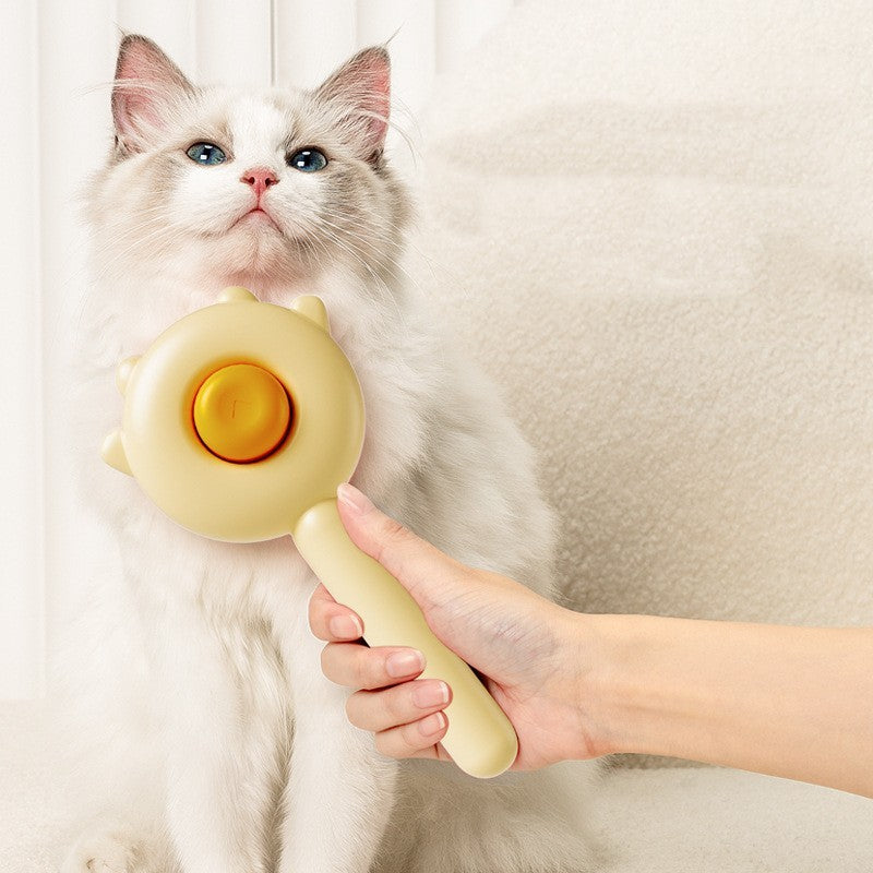 🐱Pleje&Spa