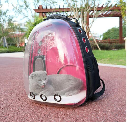 WuffWear AstroPack – Transparent Rygsæk til Hund & Kat 🚀🐾