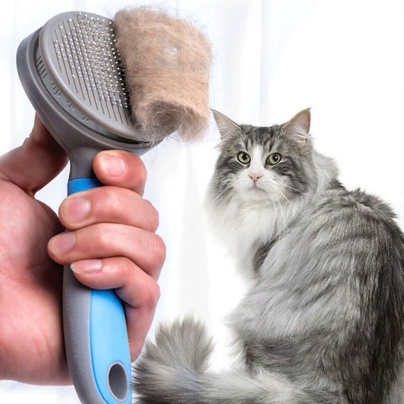 Professionel Kattebørste med Stålnåle - Pelspleje til Langhårede Katte