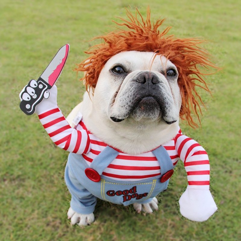 WuffWear Skræddragt - Det sjoveste Halloweenkostume til din hund