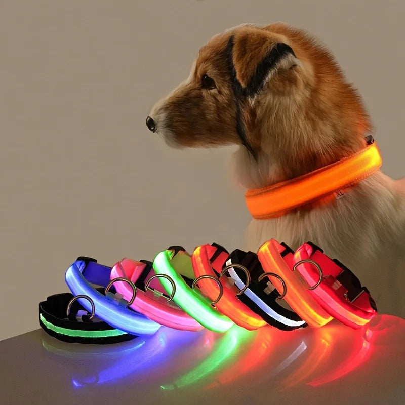 LED Hundehalsbånd - Genopladelig Sikkerhedshalsbånd til Nat