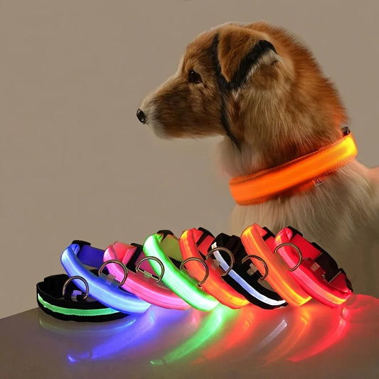 LED Hundehalsbånd - Genopladelig Sikkerhedshalsbånd til Nat