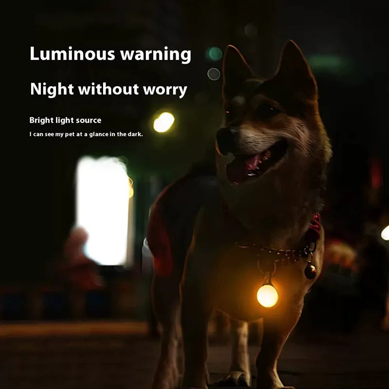 LED Lys til Hundehalsbånd - Sikkerhedslys til Nattegåture
