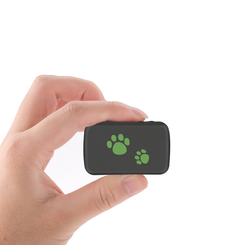 WuffWear GPSTracker – Hold styr på dit pelsede hjerte 🐾📍