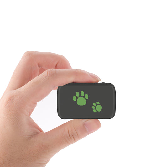 WuffWear GPSTracker – Hold styr på dit pelsede hjerte 🐾📍
