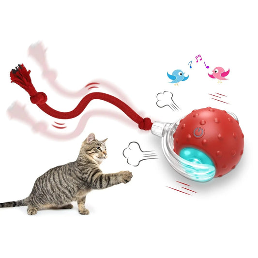 WuffWear SmartKatteBold – Interaktiv Sjov med Hale &amp; Fuglesang 🐱⚡