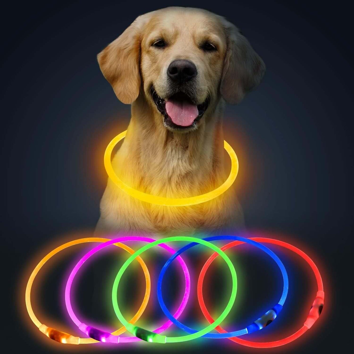 LED Halsbånd - Genopladeligt og Lysende til Hunde i forskellige farver på en glad hund i mørket, synlig og sikker til aftenture.