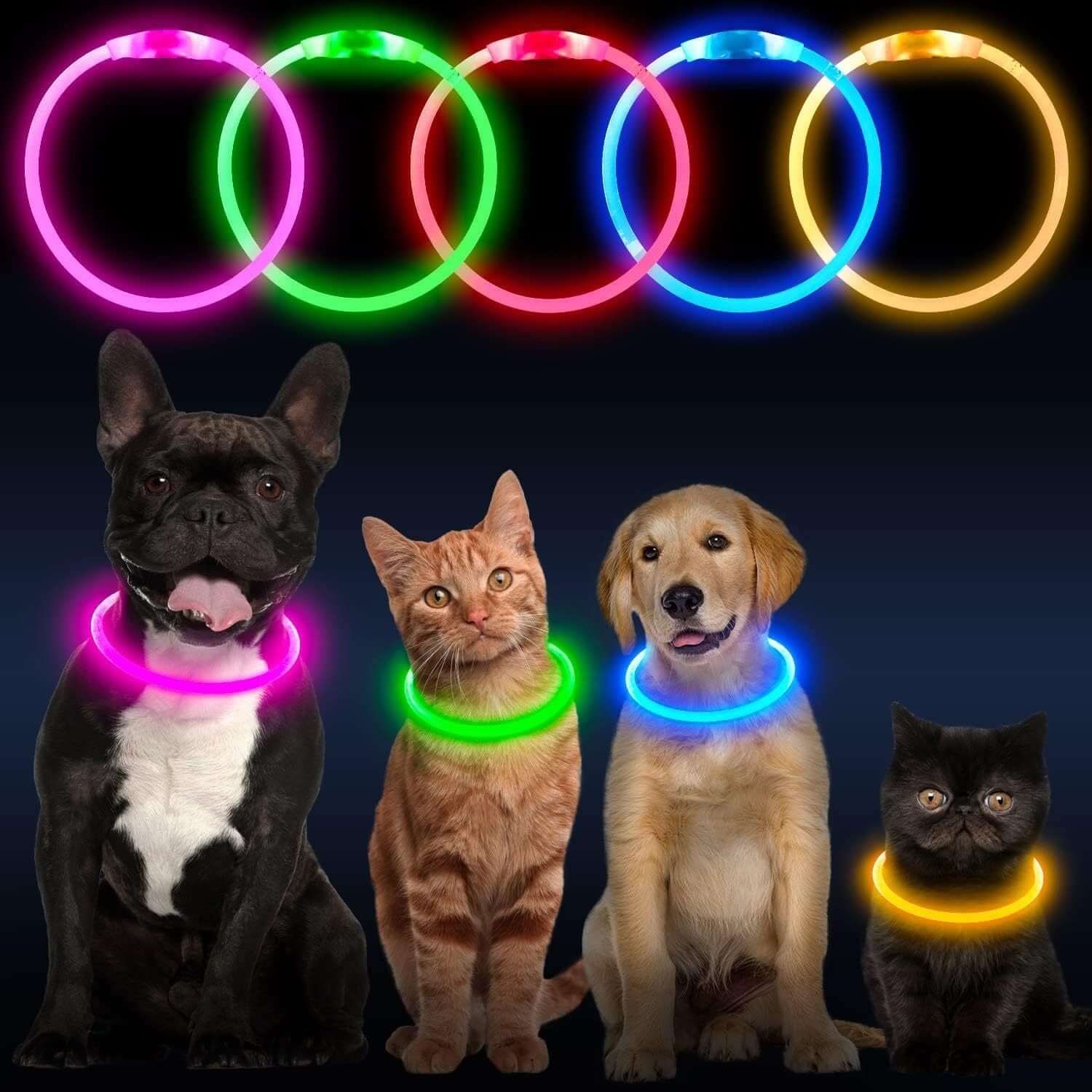 LED Halsbånd - Genopladeligt og Lysende til Hunde på katte og hunde med flerfarvede bander.