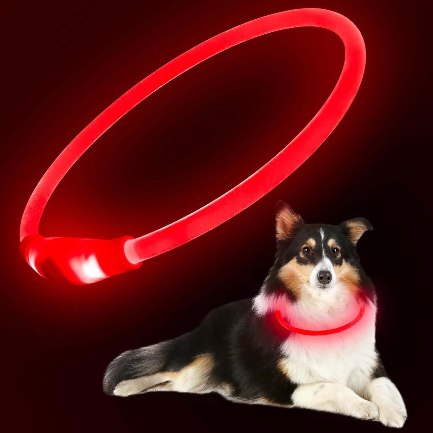 LED Halsbånd - Genopladeligt og Lysende til Hunde, rødt halsbånd med lys omkring hundens hals, hold kæledyret sikkert og synligt om natten.