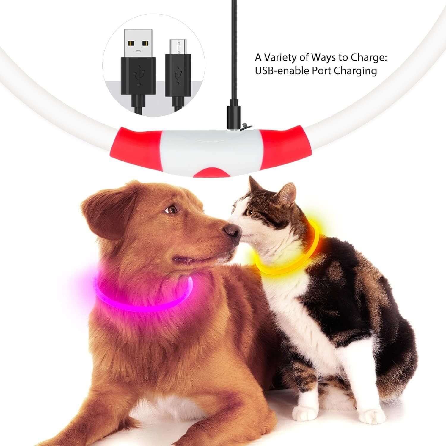 LED Halsbånd - Genopladeligt og Lysende til Hunde med USB-opladning, set på hund og kat med lysindstillinger, holder kæledyr synlige i mørket.