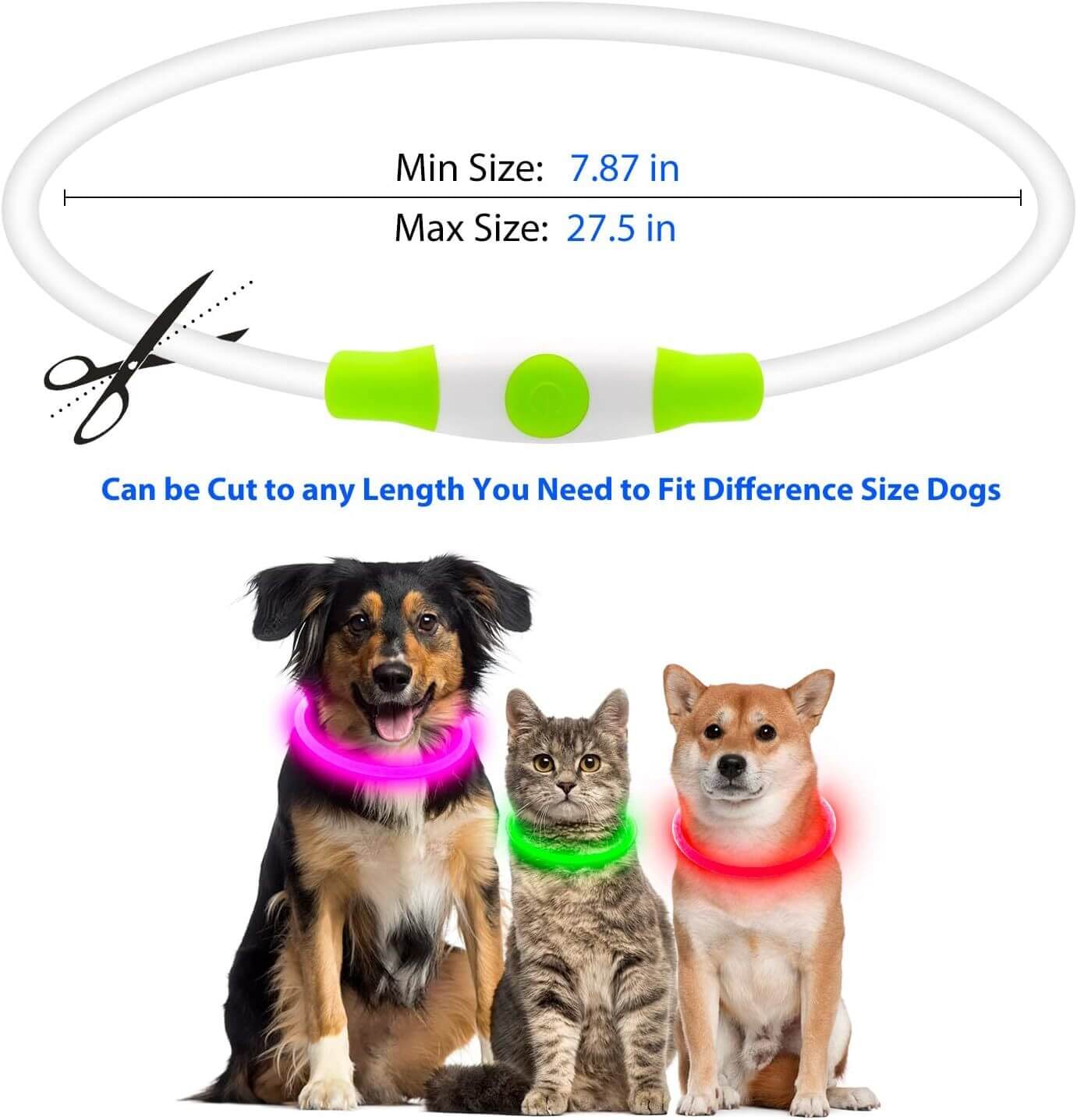 LED Halsbånd - Genopladeligt og Lysende til Hunde, justerbart til forskellige størrelser, billede af hunde og kat med LED halsbånd.