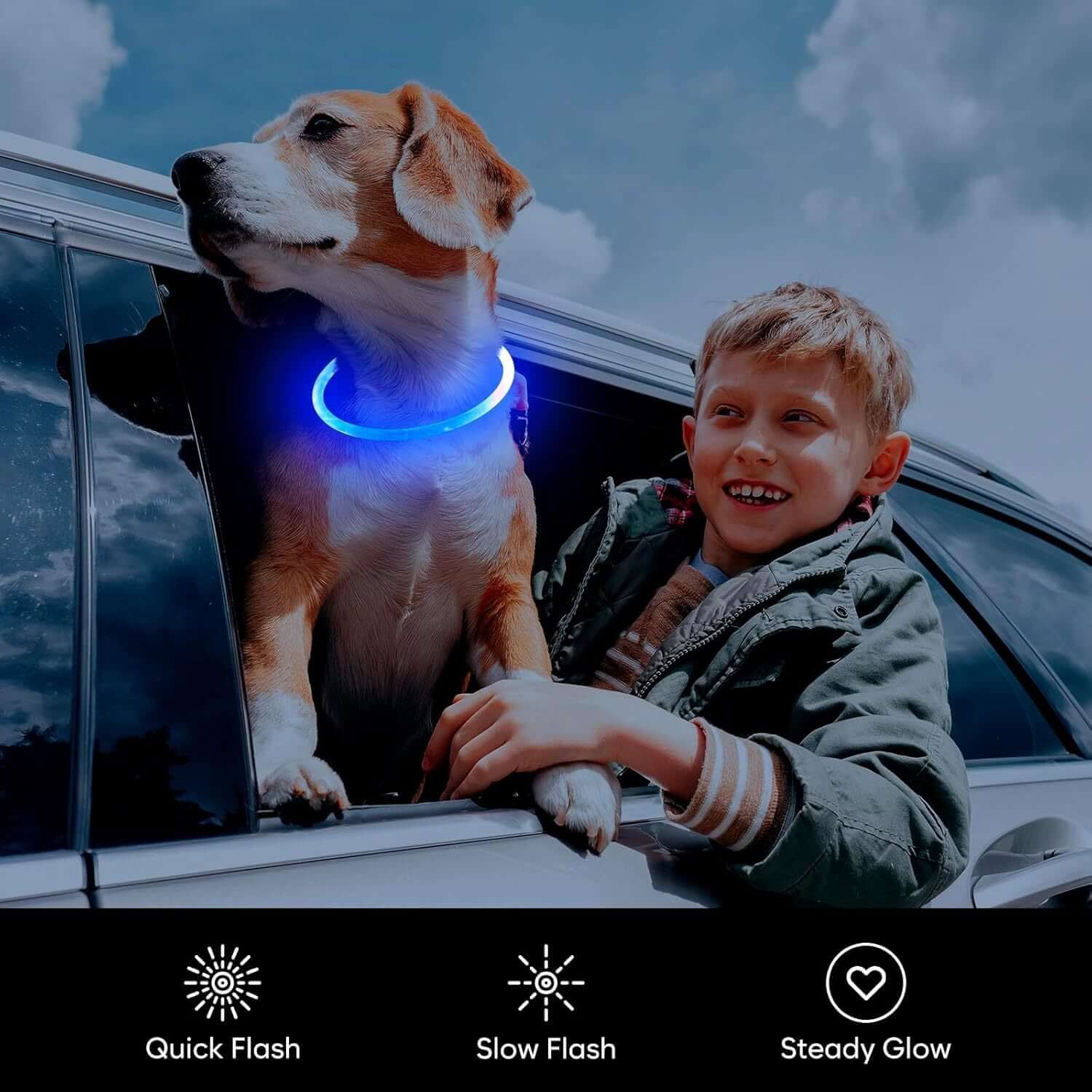 LED Halsbånd - Genopladeligt og Lysende til Hunde omkring halsen på en hund ved siden af et barn i bilvindue