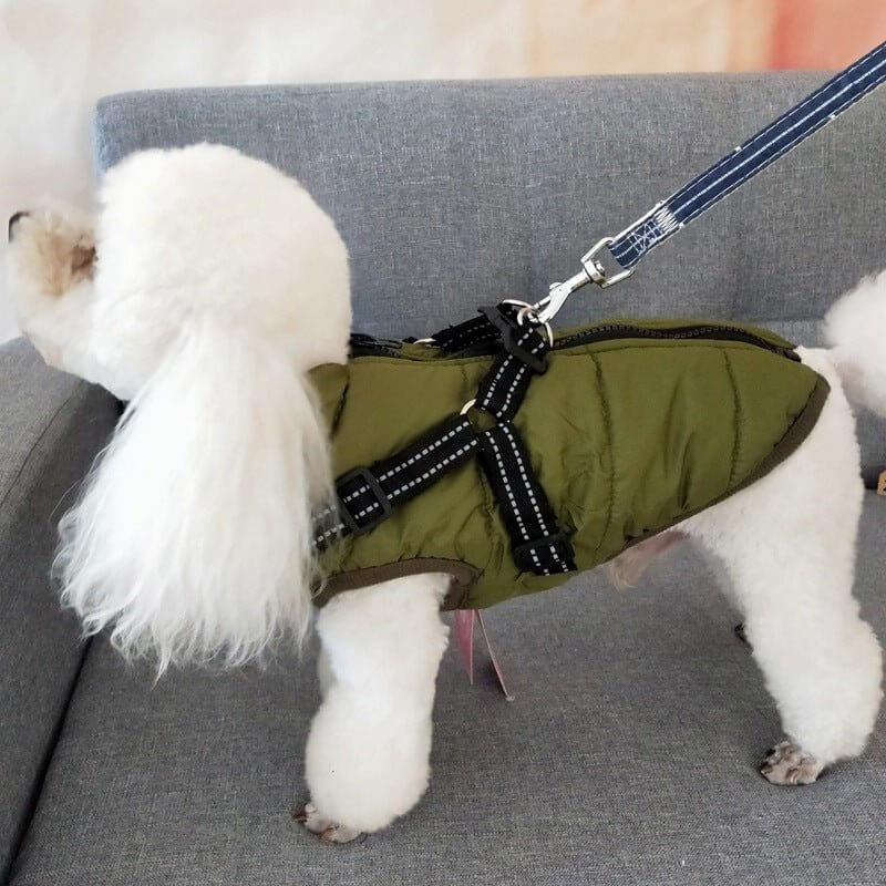 Hvid hund iført WuffWear - Regnfrakke med Sele - Vind & Vandafvisende sadler en grå sofa, klar til regnvejr.