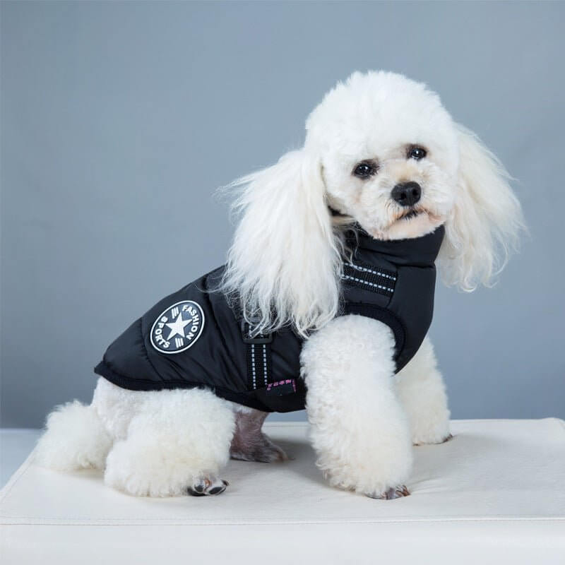 Puddel i WuffWear Regnfrakke med Sele - Vind & Vandafvisende. Komfortabel og stilfuld regnjakke, perfekt til regnfulde dage.