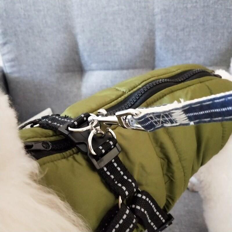 WuffWear - Regnfrakke med Sele - Vind & Vandafvisende i olivengrøn med indbygget D-ring til snor, nærbillede på hund.